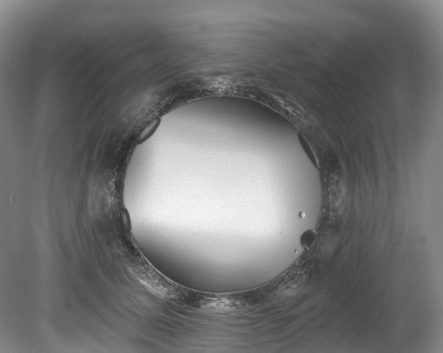 X0000078870611200611201341
