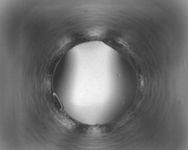 X0000078870613200611201341