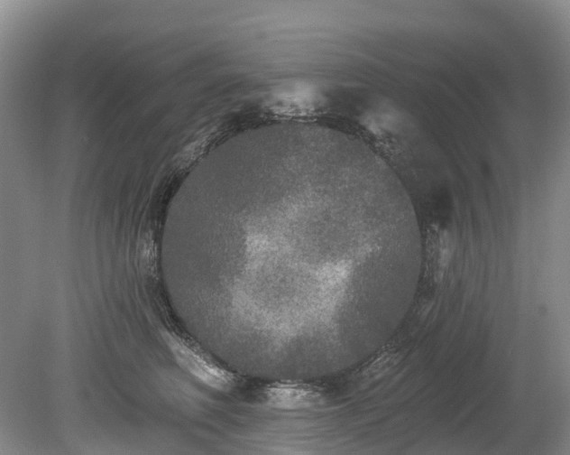 X0000078870614200611201341