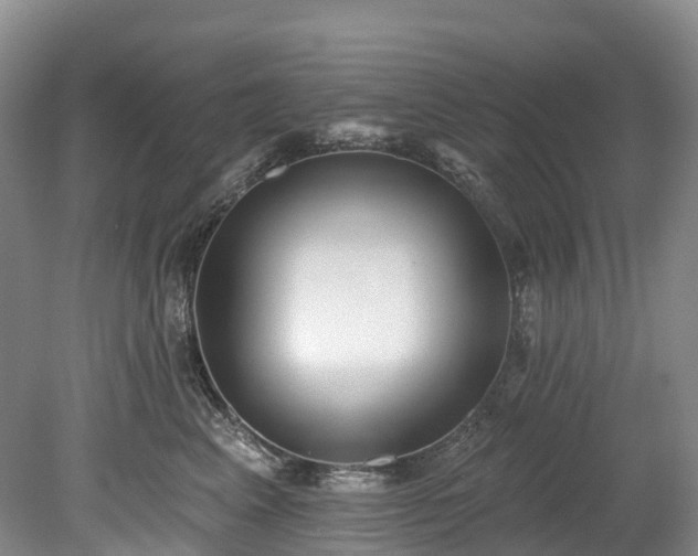 X0000078870617200611201341