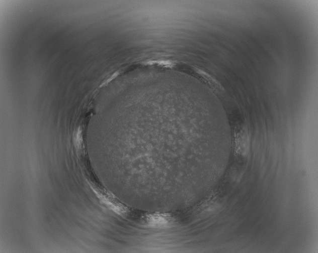 X0000078870618200611201341