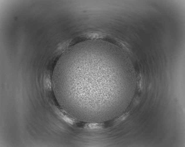 X0000078870622200611201341