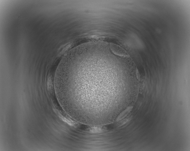 X0000078870623200611201341
