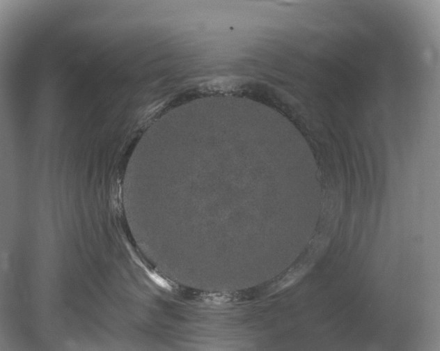 X0000078870624200611201341
