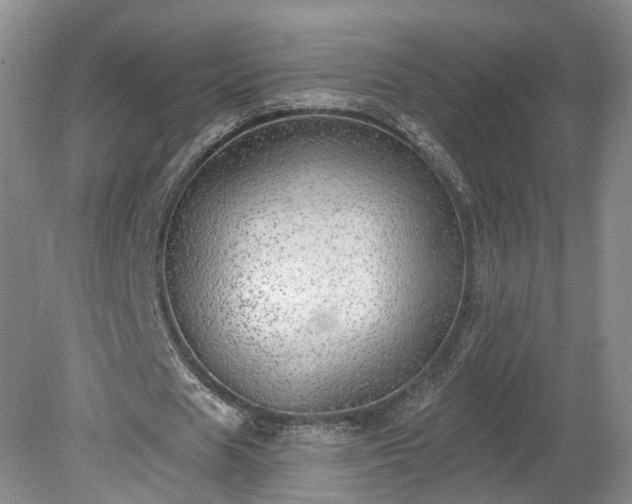 X0000078870625200611201340