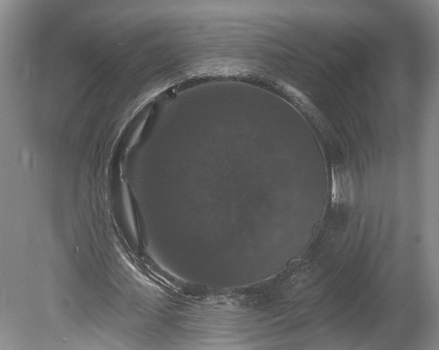 X0000078870627200611201340