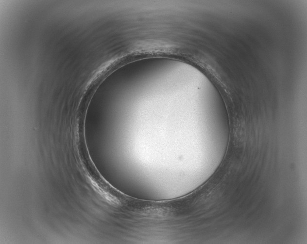 X0000078870629200611201340