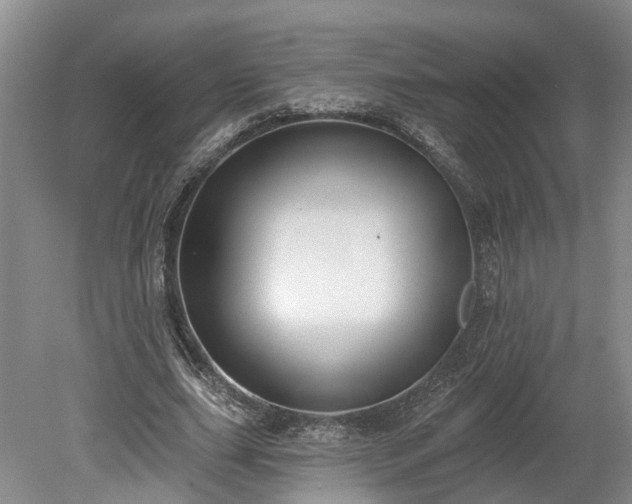 X0000078870631200611201340