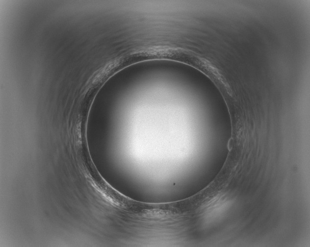 X0000078870633200611201340