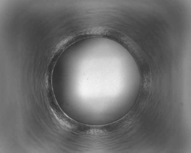 X0000078870636200611201340