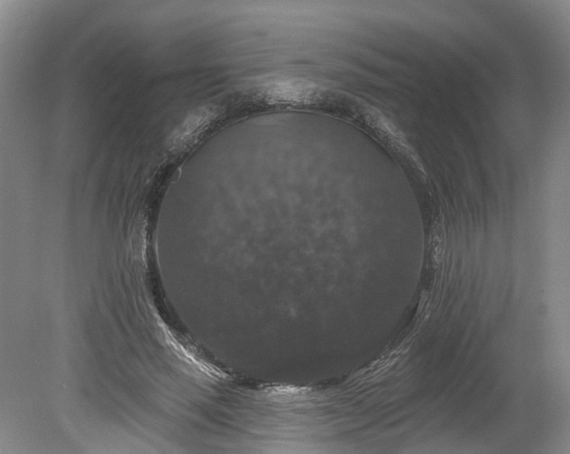 X0000078870637200611201340