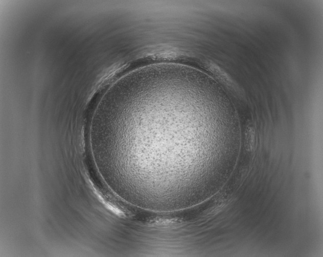 X0000078870638200611201340