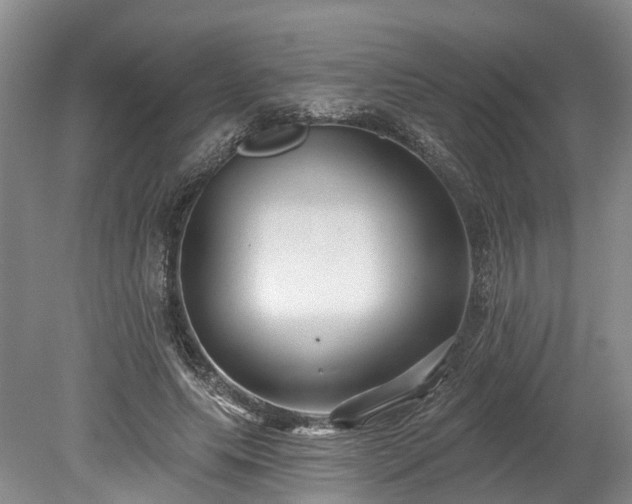 X0000078870639200611201340