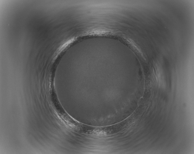 X0000078870640200611201340