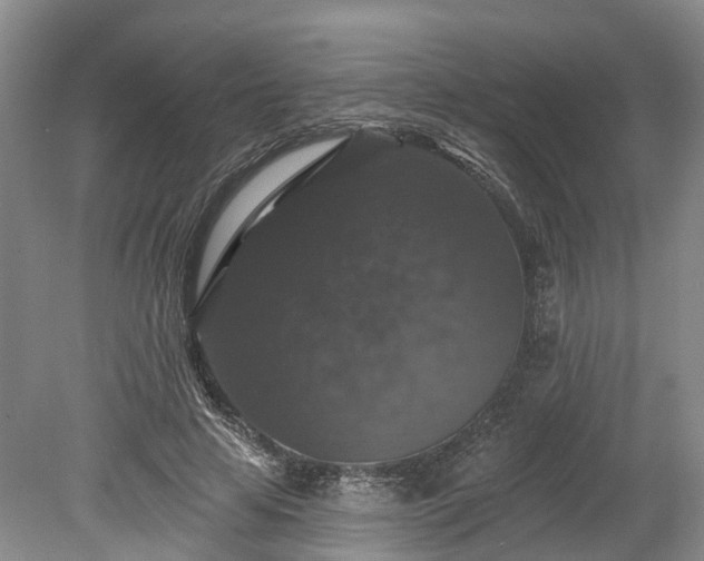 X0000078870641200611201340
