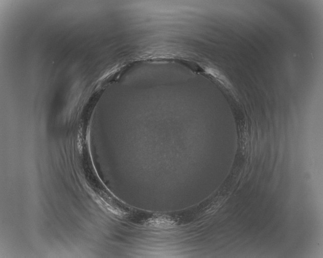 X0000078870644200611201341