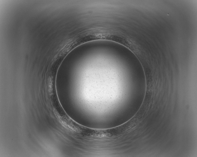 X0000078870646200611201341