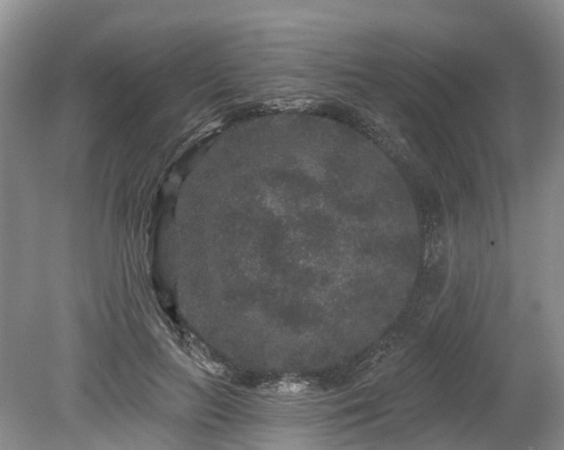 X0000078870647200611201341
