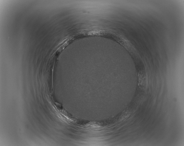 X0000078870648200611201341