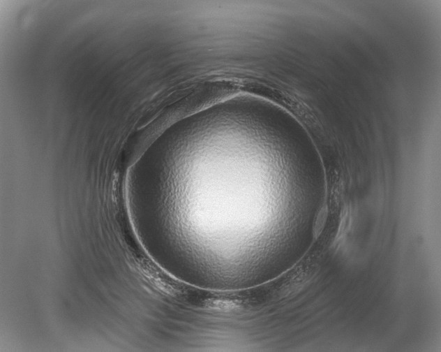 X0000078870649200611201341