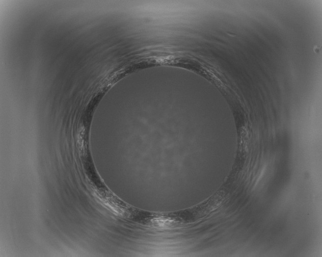 X0000078870650200611201341