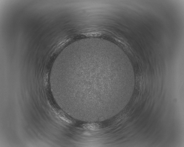 X0000078870652200611201341