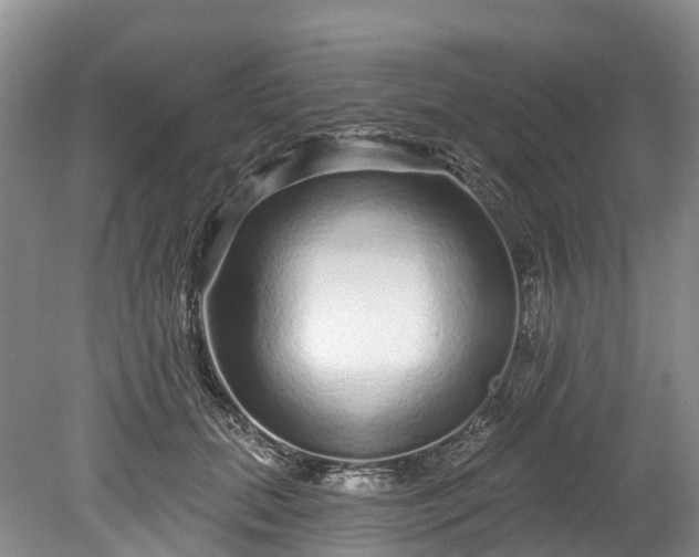 X0000078870655200611201341