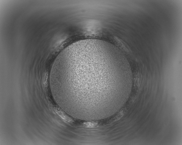 X0000078870660200611201341