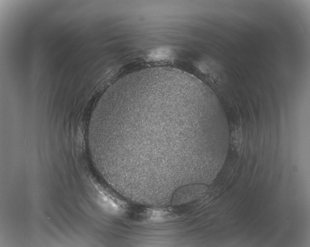 X0000078870662200611201341