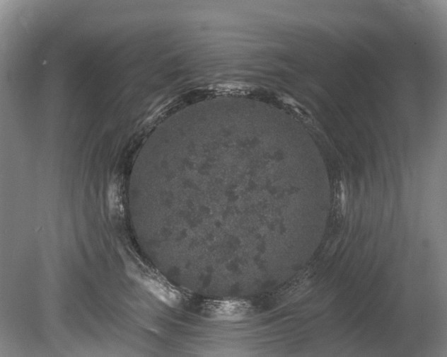 X0000078870663200611201341