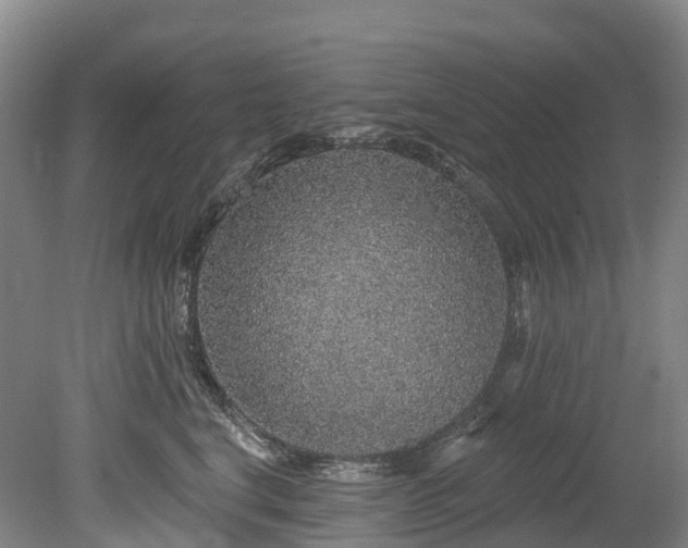 X0000078870664200611201341