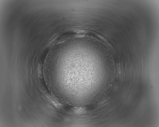 X0000078870667200611201341