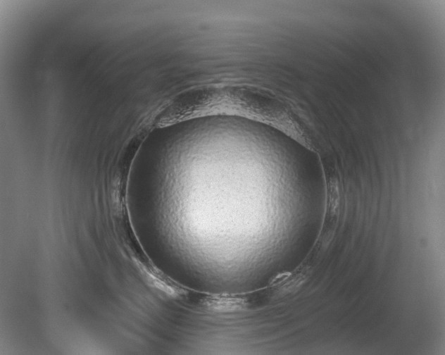 X0000078870670200611201341