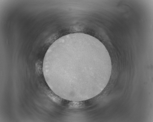 X0000078870672200611201341