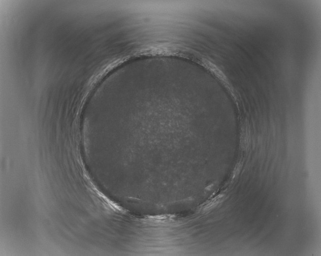 X0000078870673200611201340