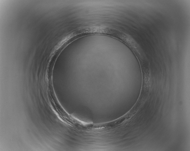 X0000078870674200611201340