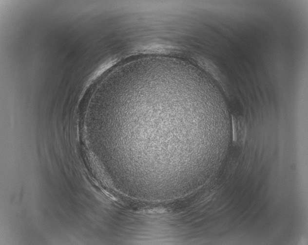 X0000078870675200611201340