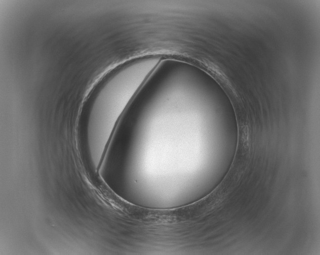X0000078870676200611201340