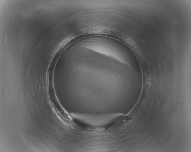 X0000078870678200611201340