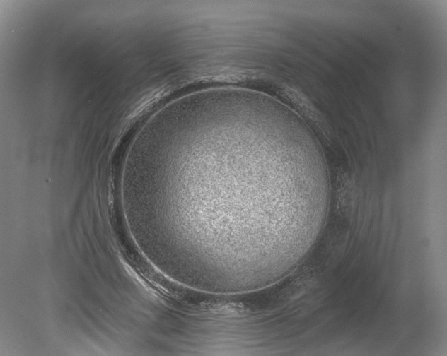X0000078870683200611201340