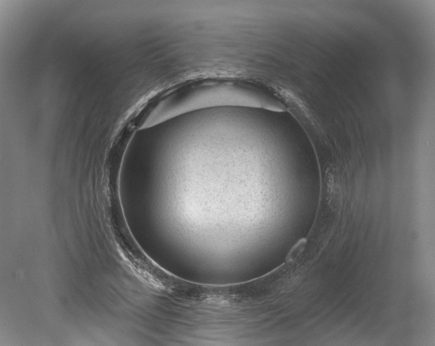X0000078870684200611201340