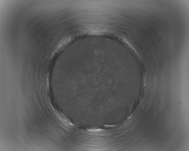 X0000078870685200611201340