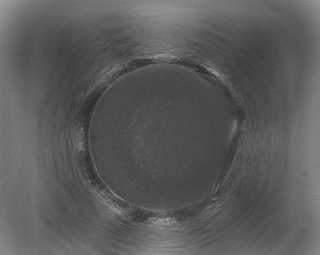 X0000078870689200611201340