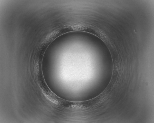 X0000078870690200611201340