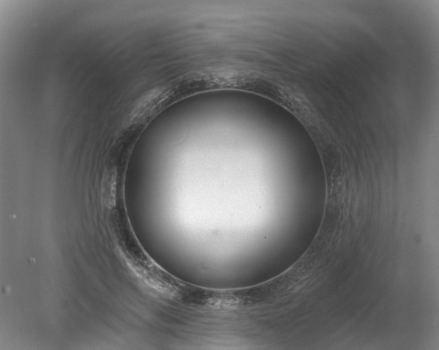 X0000078870694200611201340
