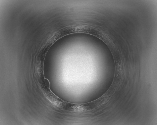 X0000078870698200611201340
