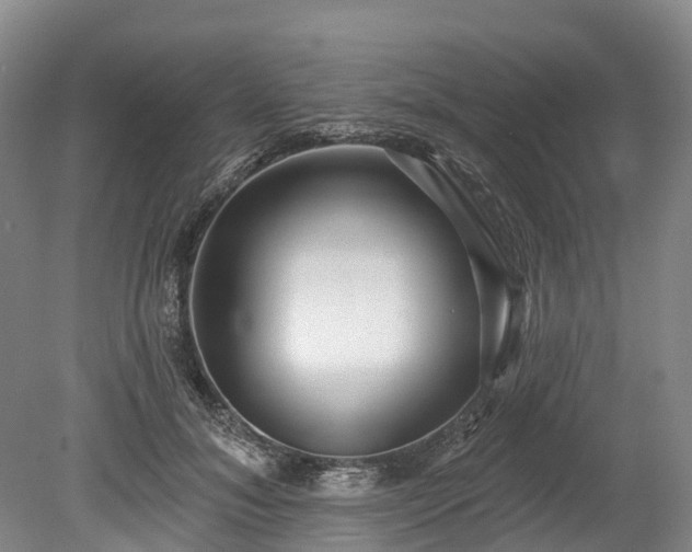 X0000078870700200611201340