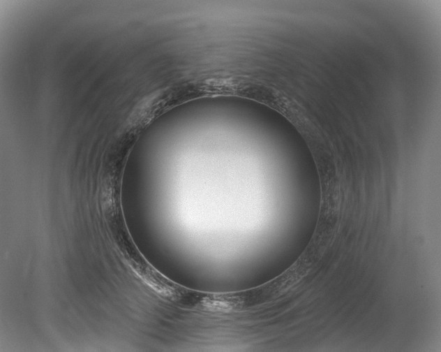 X0000078870706200611201340
