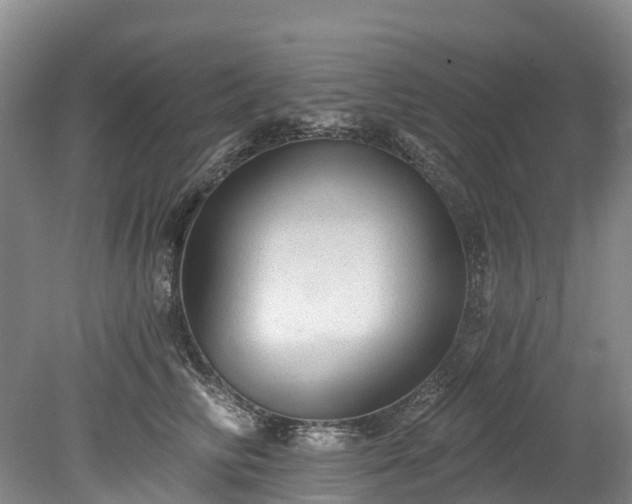 X0000078870710200611201340