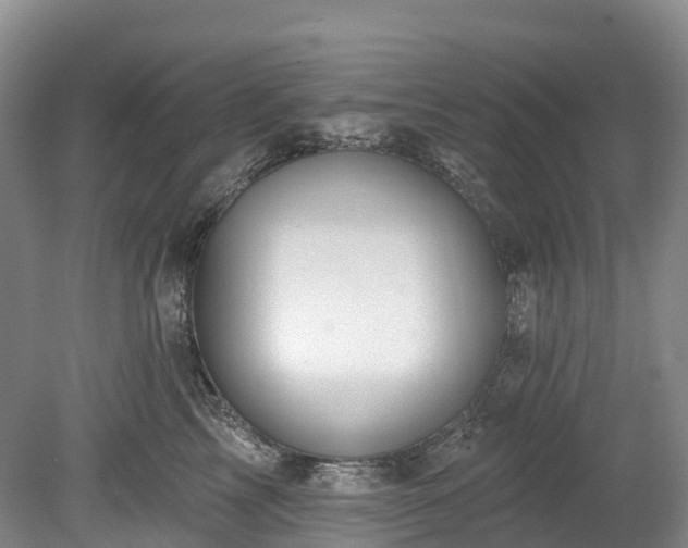X0000078870713200611201339